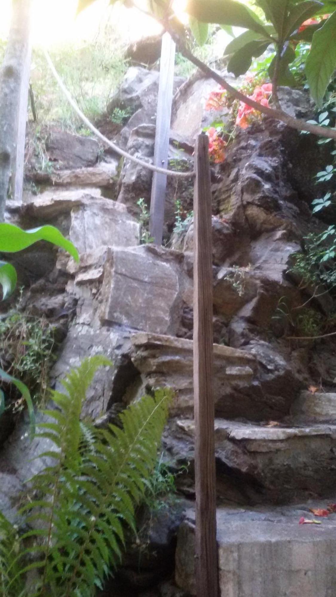 סקאלה פוטאמיאס Villa Dimitra מראה חיצוני תמונה