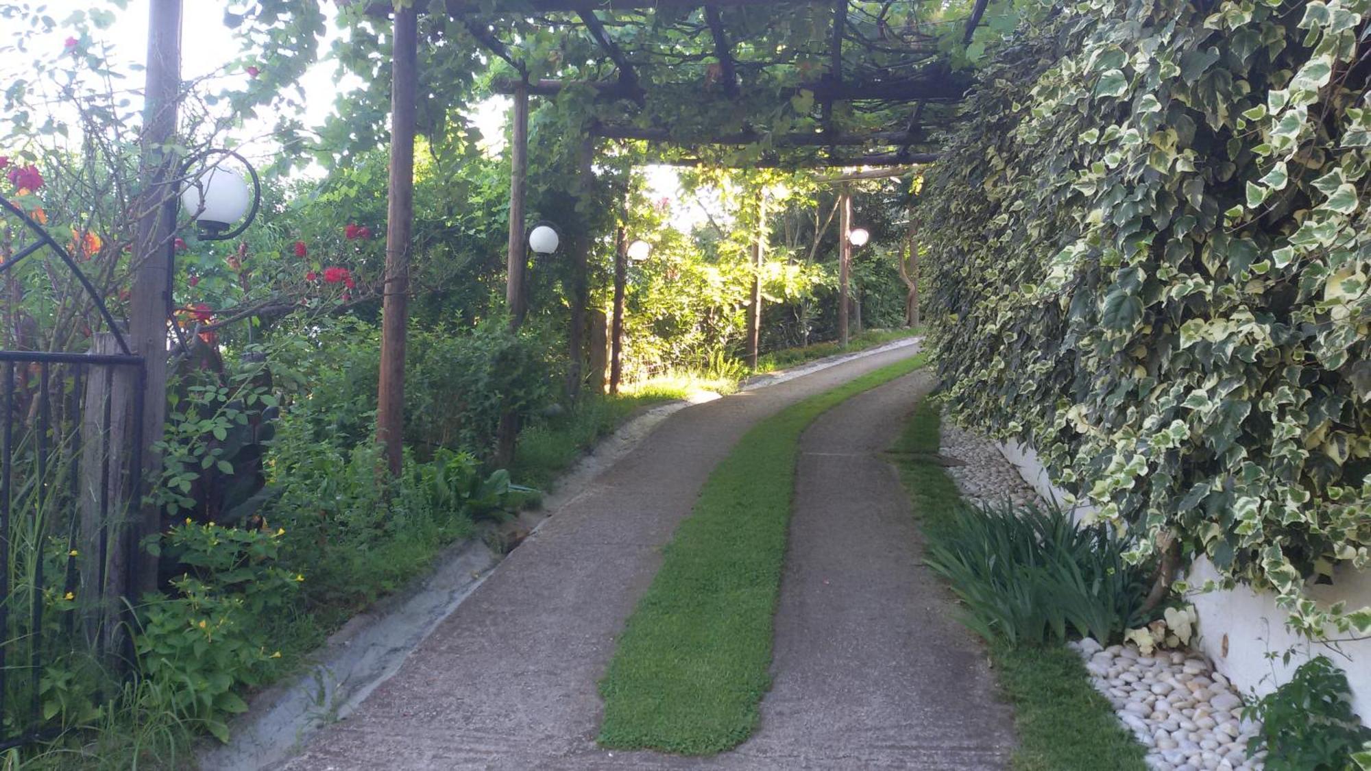 סקאלה פוטאמיאס Villa Dimitra מראה חיצוני תמונה