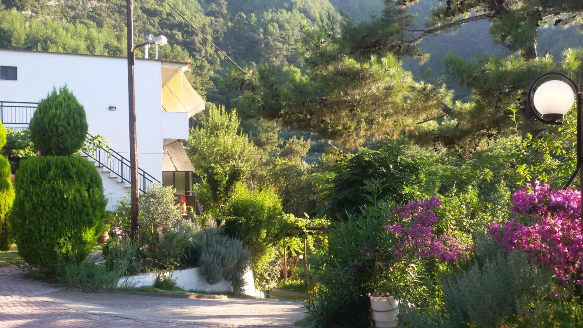 סקאלה פוטאמיאס Villa Dimitra מראה חיצוני תמונה
