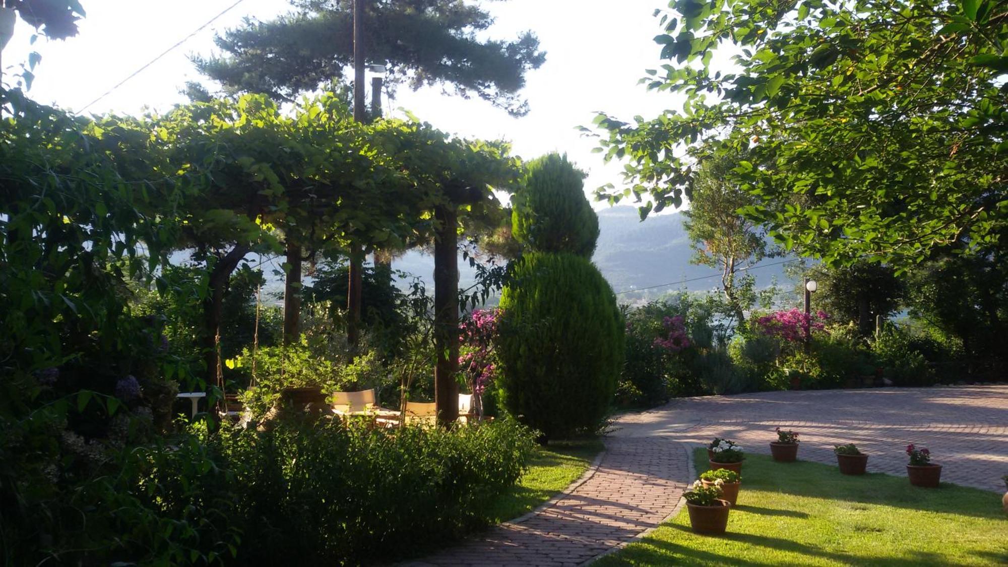 סקאלה פוטאמיאס Villa Dimitra מראה חיצוני תמונה